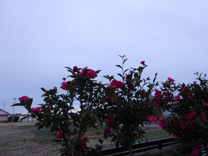 e0292102_16224237.jpg