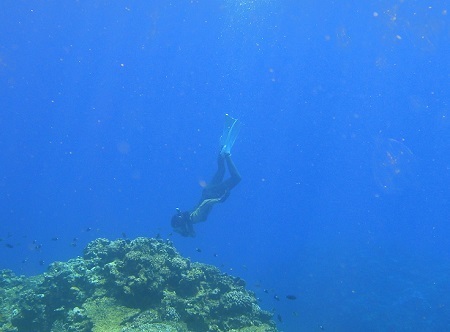 f0164003_23182805.jpg