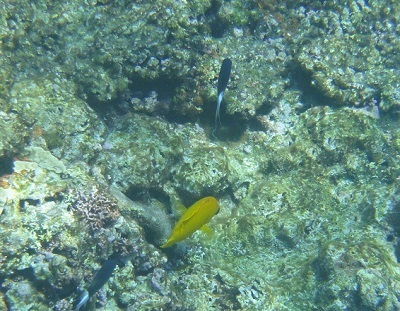 f0164003_23243522.jpg