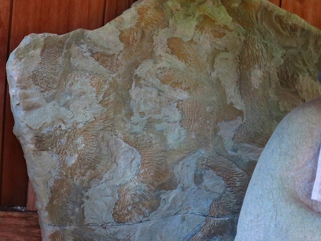 d0360104_22225591.jpg