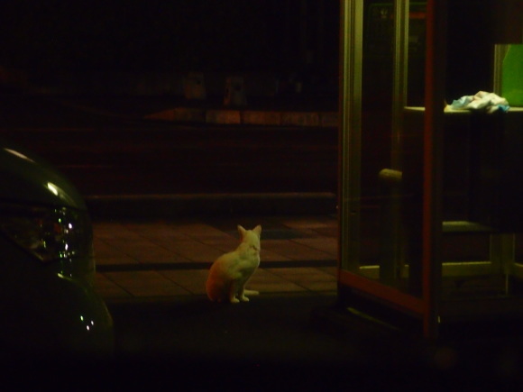 ふたつの死 1_a0232906_17580365.jpg
