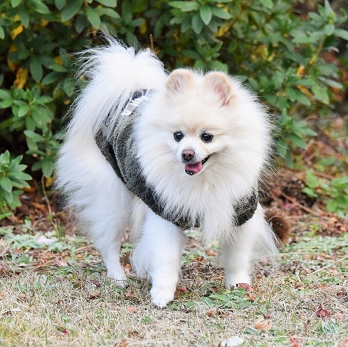 物欲まみれに天罰下る_d0360206_00460614.jpg