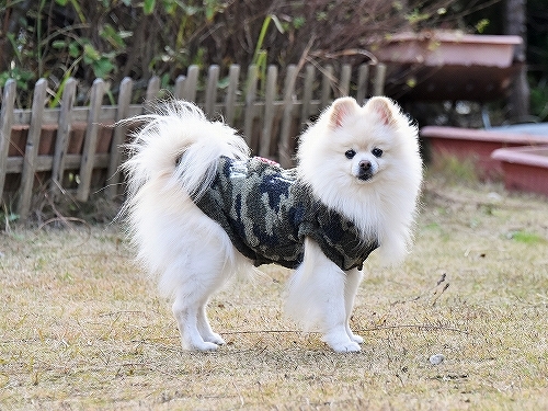 物欲まみれに天罰下る_d0360206_00461253.jpg