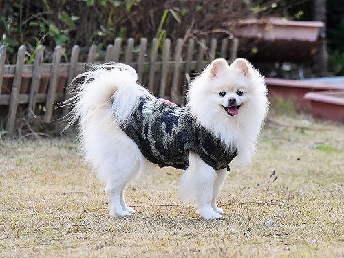 物欲まみれに天罰下る_d0360206_00461793.jpg