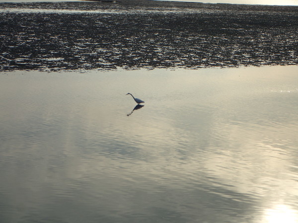 c0367107_12031797.jpg
