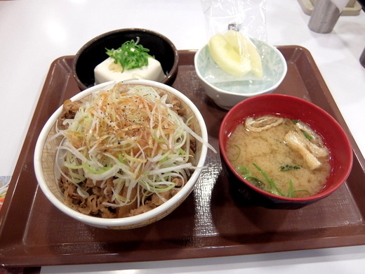 12 13 すき家 白髪ねぎ牛丼 並盛 健康セット カットりんご モバイルクーポン利用 食べた 食欲記 12 13 すき家 白髪ねぎ牛丼 並盛 健康セット カットりんご モバイルクーポン利用 食べた 食欲記