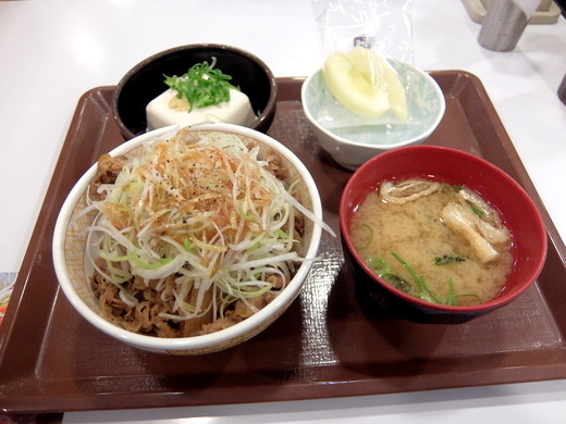 【12/13～】すき家 白髪ねぎ牛丼 並盛 健康セット（カットりんご） モバイルクーポン利用【食べた】_d0188613_18080478.jpg