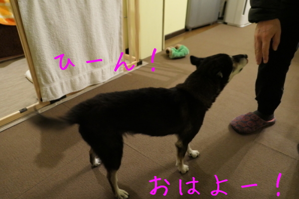 f0369014_18271248.jpg