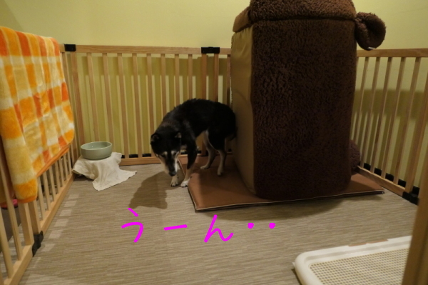 f0369014_19020171.jpg