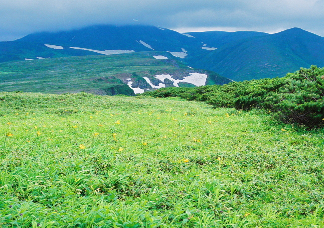雄大な北海道・大雪連峰の縦走コース_a0113718_20251404.jpg