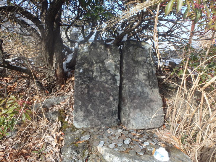 f0193521_564252.jpg