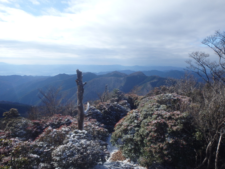 f0193521_591567.jpg