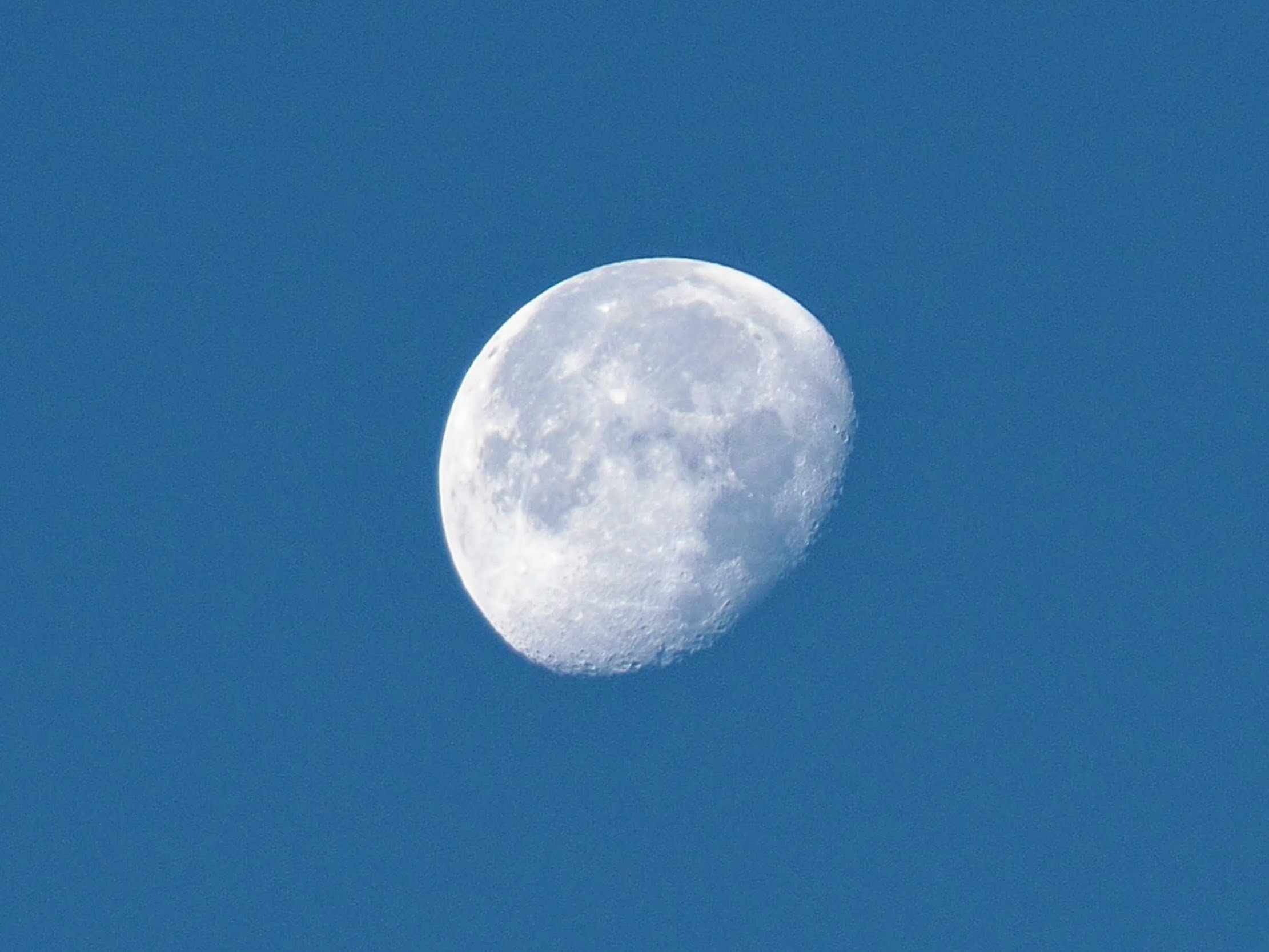 b0370328_06460598.jpg