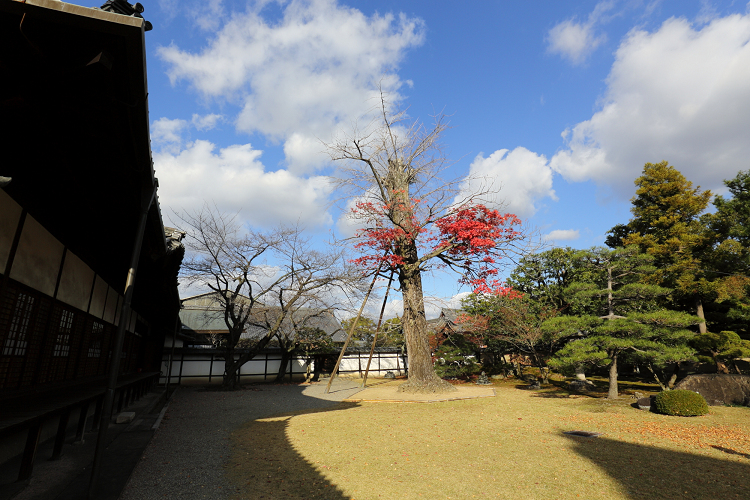 b0169330_2225414.jpg
