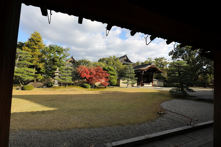 b0169330_22255142.jpg