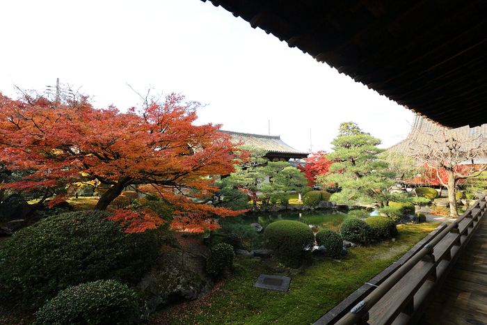 b0169330_23193478.jpg