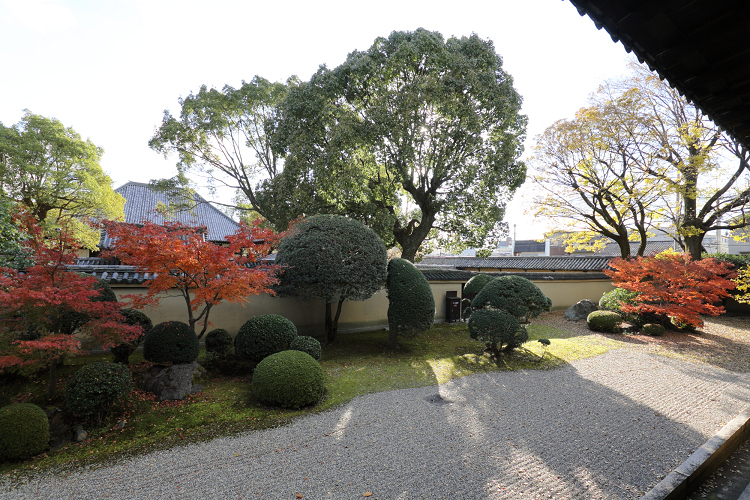 b0169330_234061.jpg