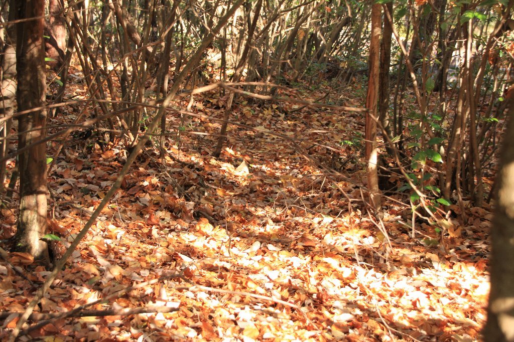 c0355331_13491876.jpg