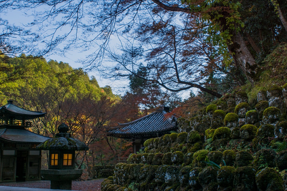 ２０１７京都紅葉～愛宕念仏寺_e0363038_9355872.jpg