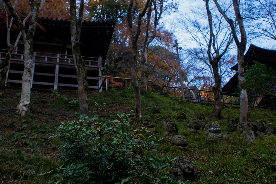 ２０１７京都紅葉～愛宕念仏寺_e0363038_936244.jpg