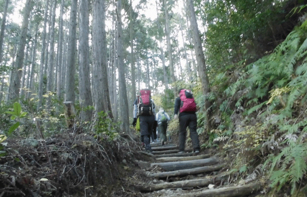e0371039_15361540.gif