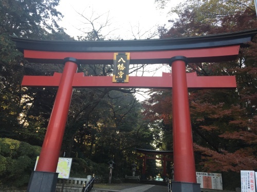 b0330040_05572007.jpeg