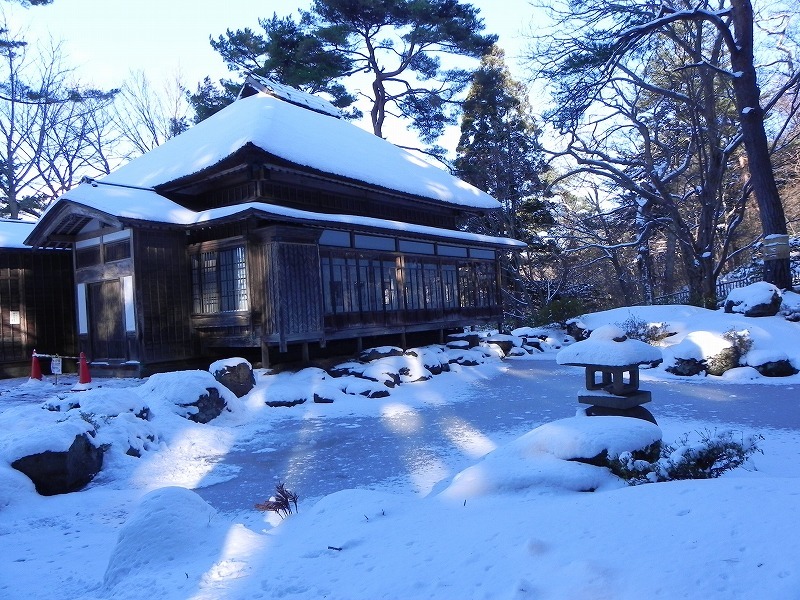 見晴公園だより　雪景色_e0145841_14591370.jpg