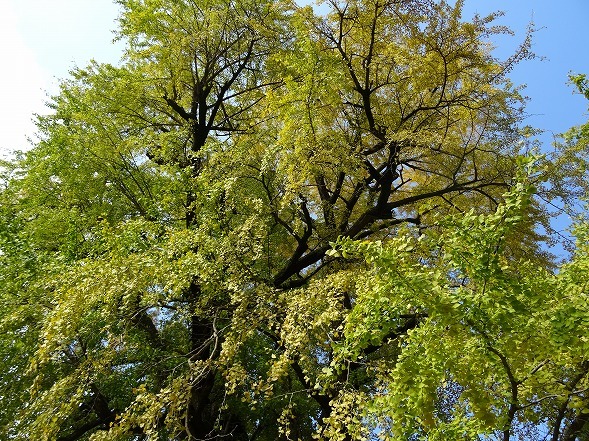 b0299042_04435015.jpg