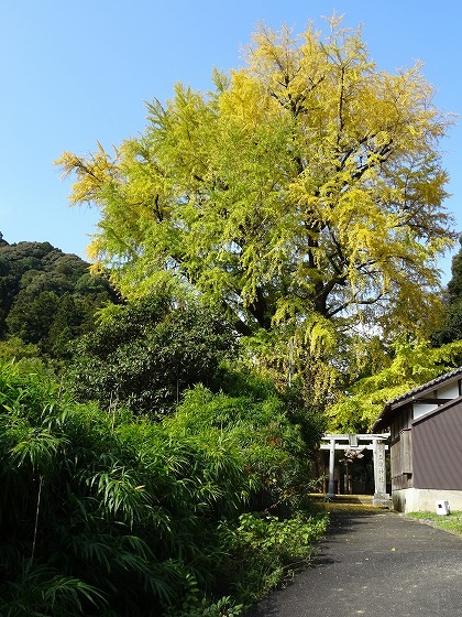 b0299042_04455631.jpg