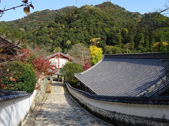 b0299042_04470460.jpg