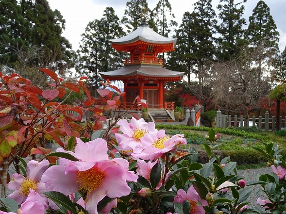 b0299042_05241340.jpg