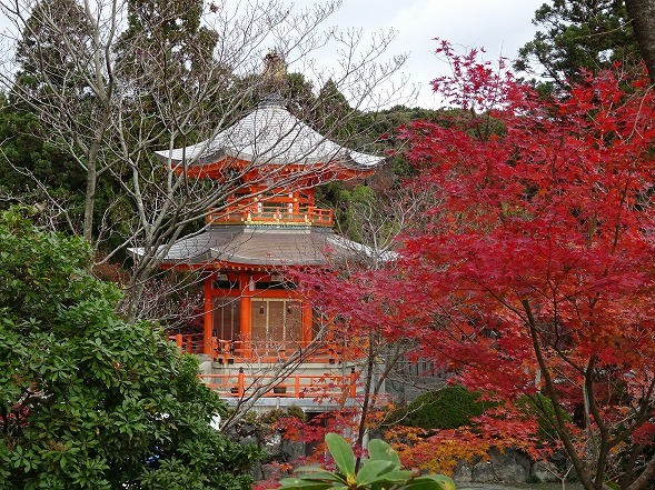 b0299042_05243110.jpg