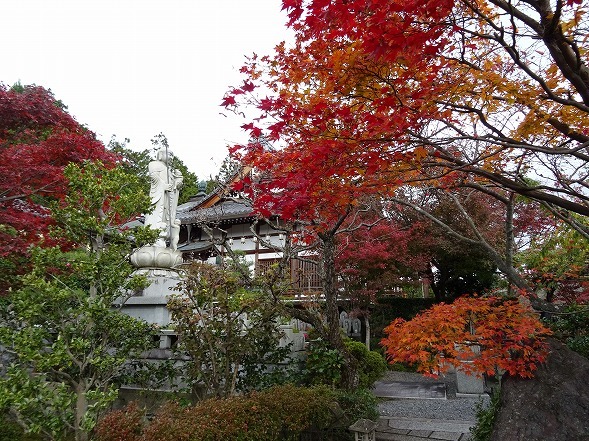 b0299042_05244413.jpg