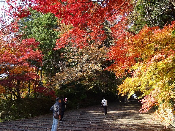 b0299042_06023560.jpg