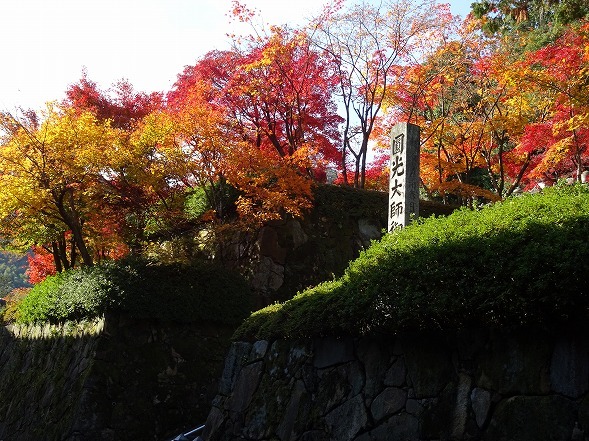 b0299042_06025794.jpg