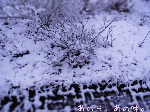a0305046_09122129.jpg