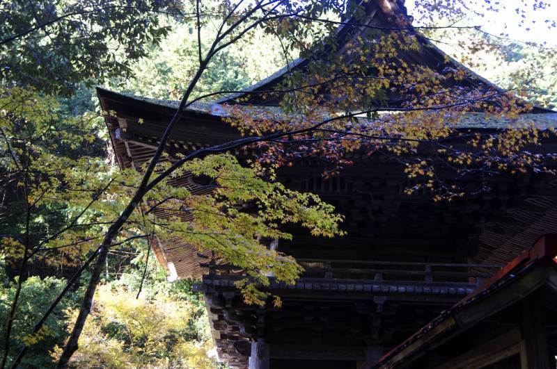 大矢田神社の秋_c0238352_14262186.jpg