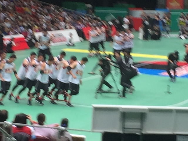 プロ野球バトルスタジアム 観覧 ほっこりこたつ猫