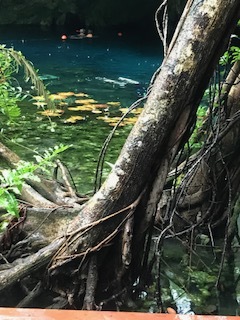 b0193757_14271701.jpg