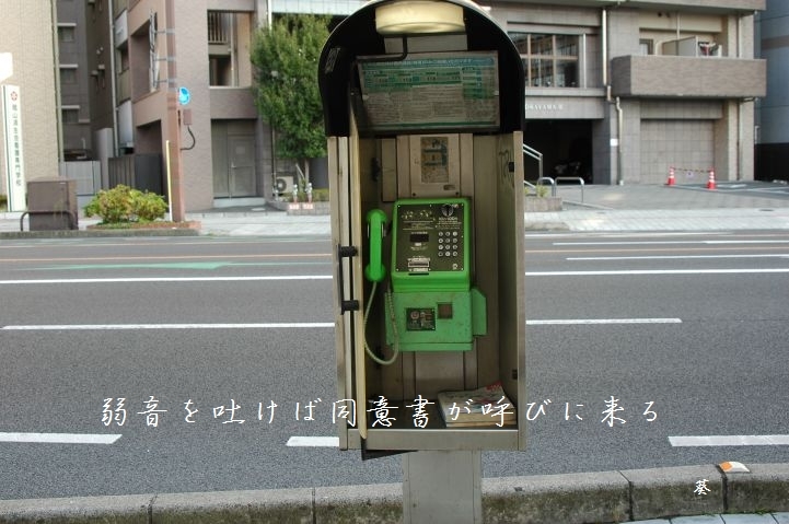 f0379160_14311712.jpg