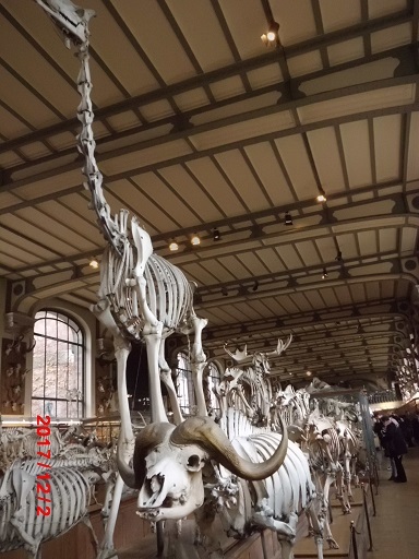 c0172261_22571770.jpg