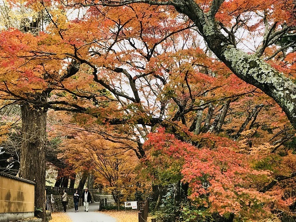 いつものカフェへ(\'\'ω\'\')_c0327061_08173361.jpg