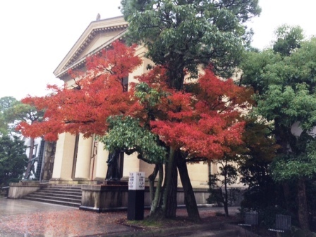 c0201563_06455950.jpg