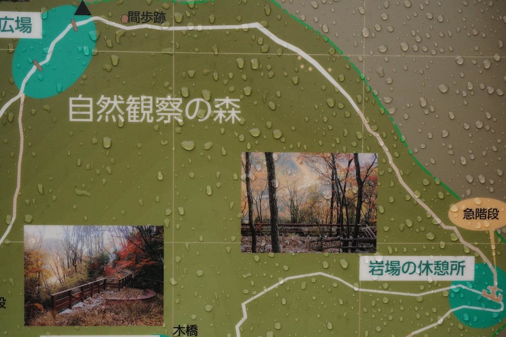 e0019563_17104068.jpg