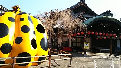 a0316366_19570292.jpg
