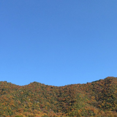 ジビエなお話(1)_f0054977_08422552.jpg