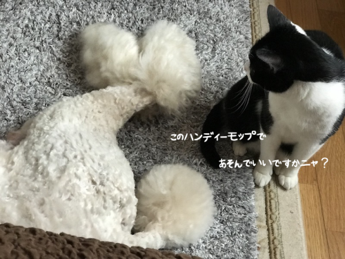 a0216583_15381846.png