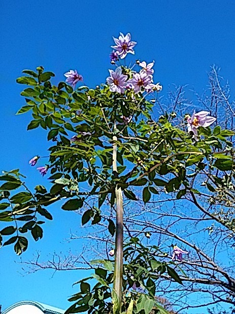 f0280186_19543463.jpg
