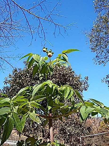 f0280186_20522301.jpg