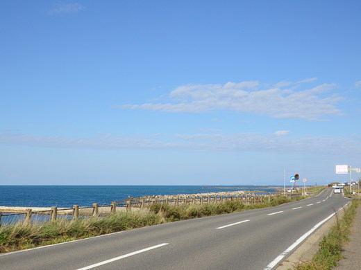 d0257690_2332638.jpg